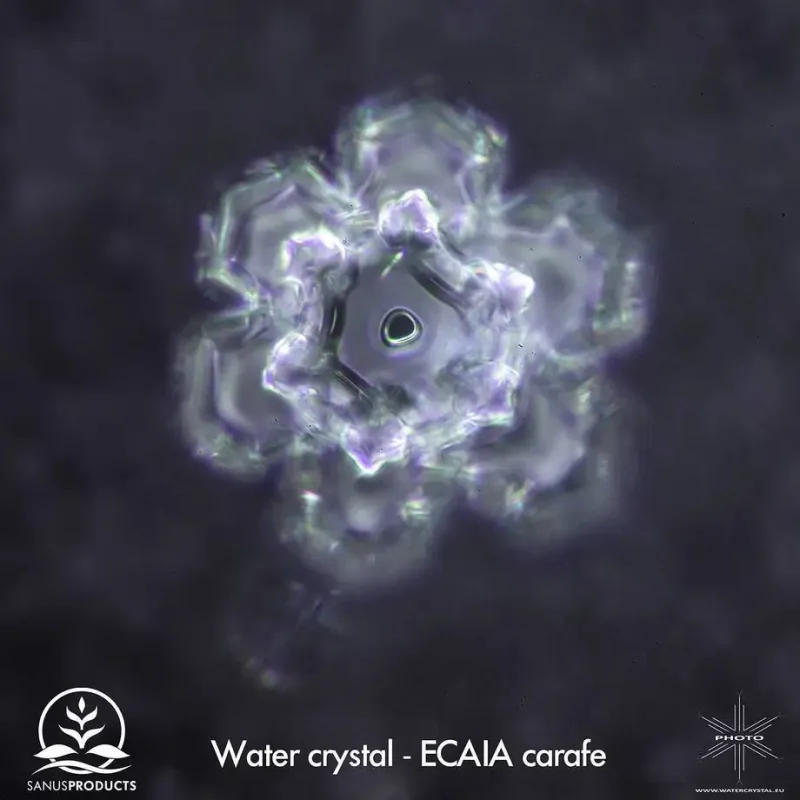 Ecaia Carafe – Mineralischer Wasserionisierer ohne Strom.