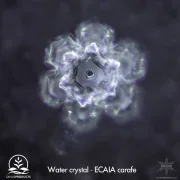 Ecaia Carafe – Mineralischer Wasserionisierer ohne Strom.