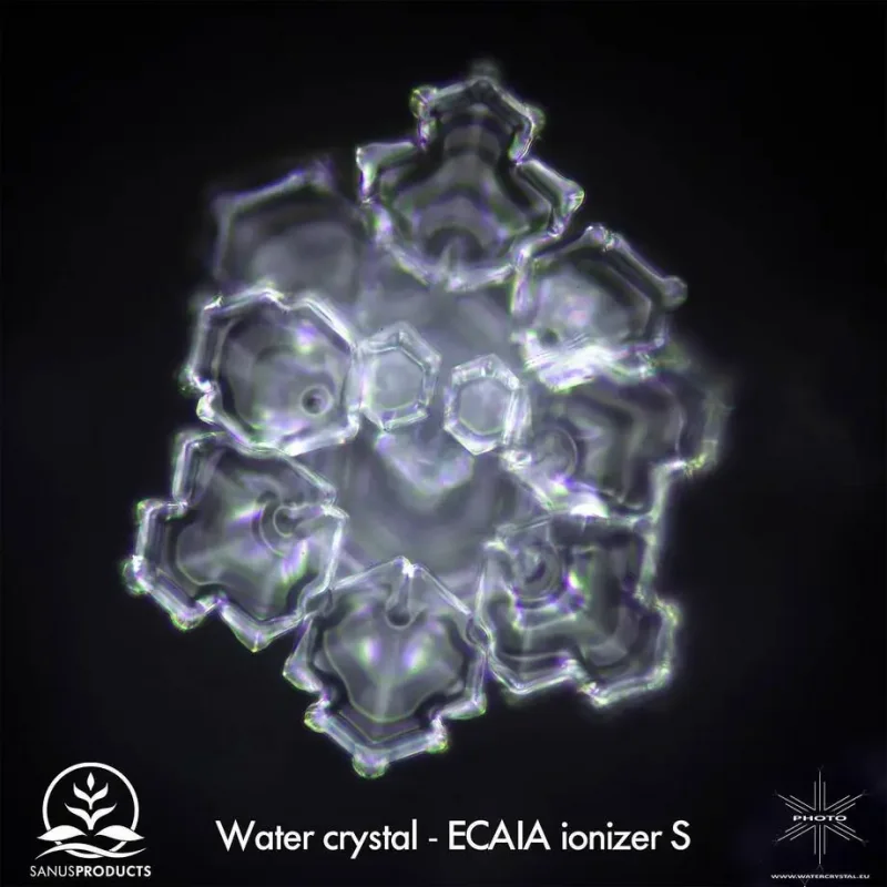ECAIA IONIZER mit Elektrolyse